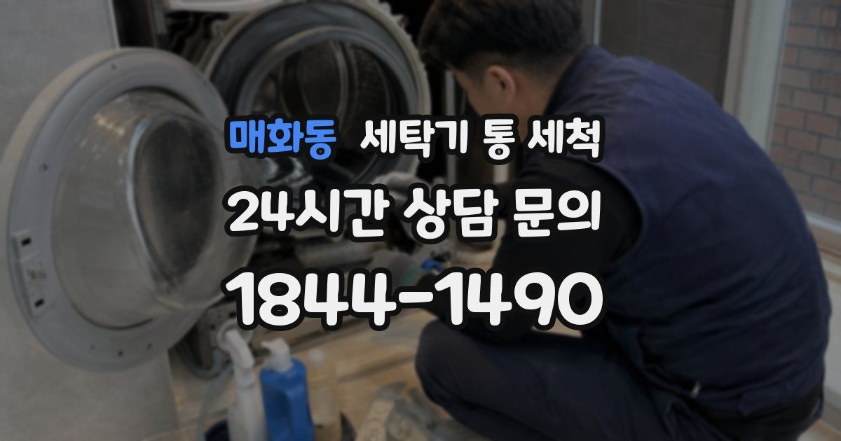 매화동 세탁기 통 세척