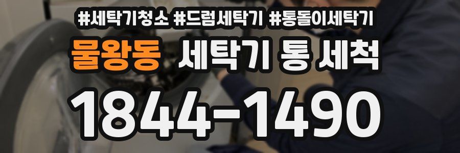 물왕동 세탁기 통 세척