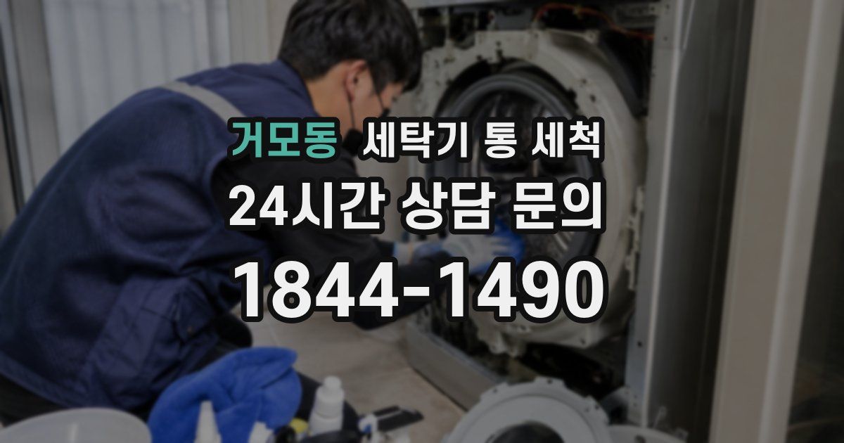 거모동 세탁기 통 세척