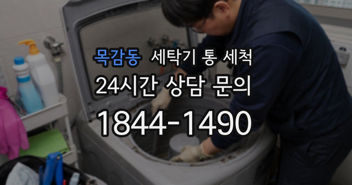 목감동 세탁기 통 세척