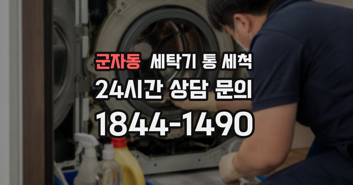 군자동 세탁기 통 세척