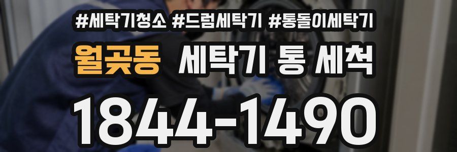 월곶동 세탁기 통 세척