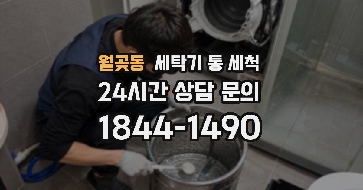 월곶동 세탁기 통 세척