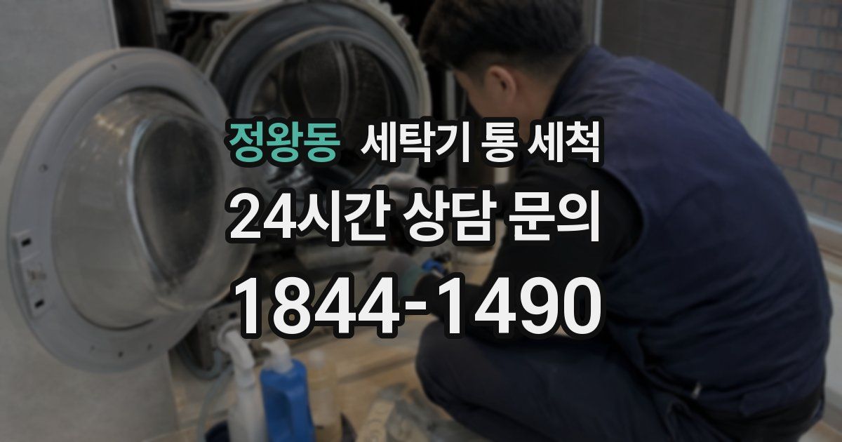 정왕동 세탁기 통 세척