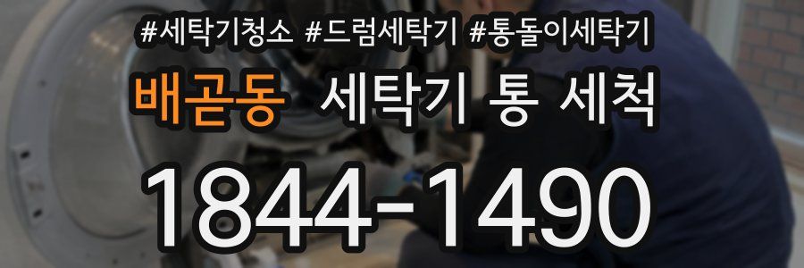 배곧동 세탁기 통 세척