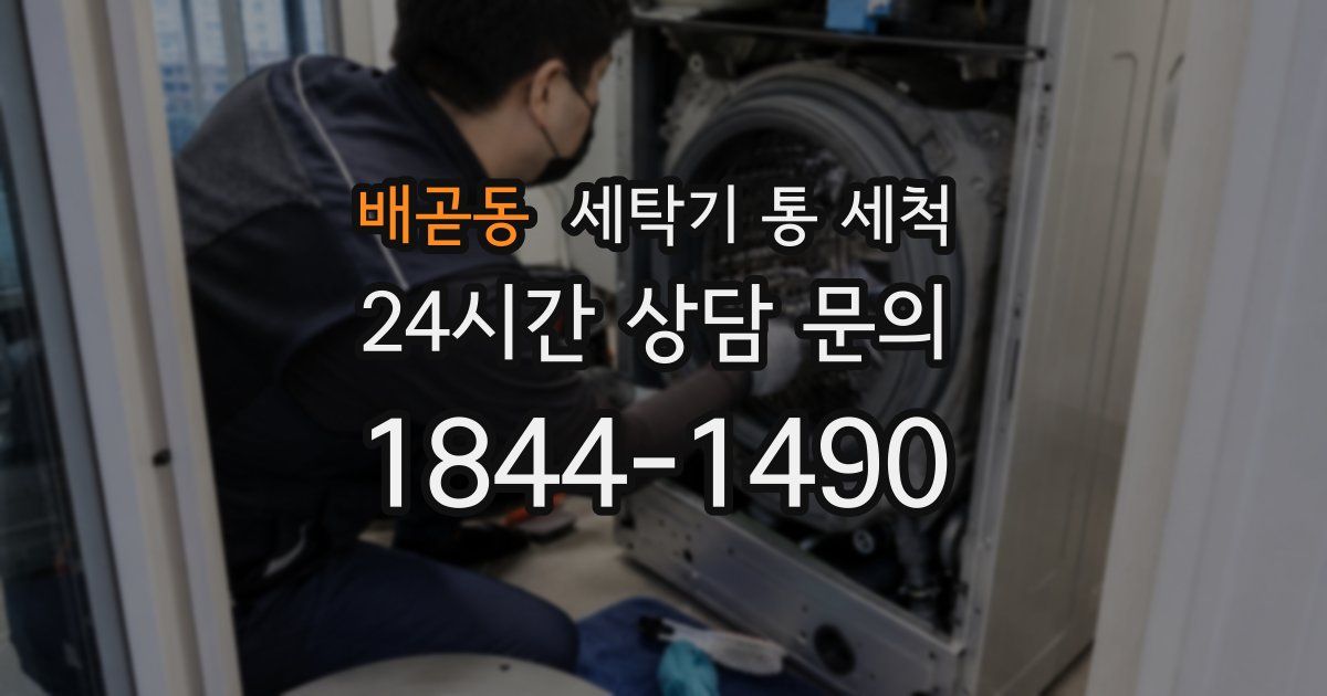 배곧동 세탁기 통 세척