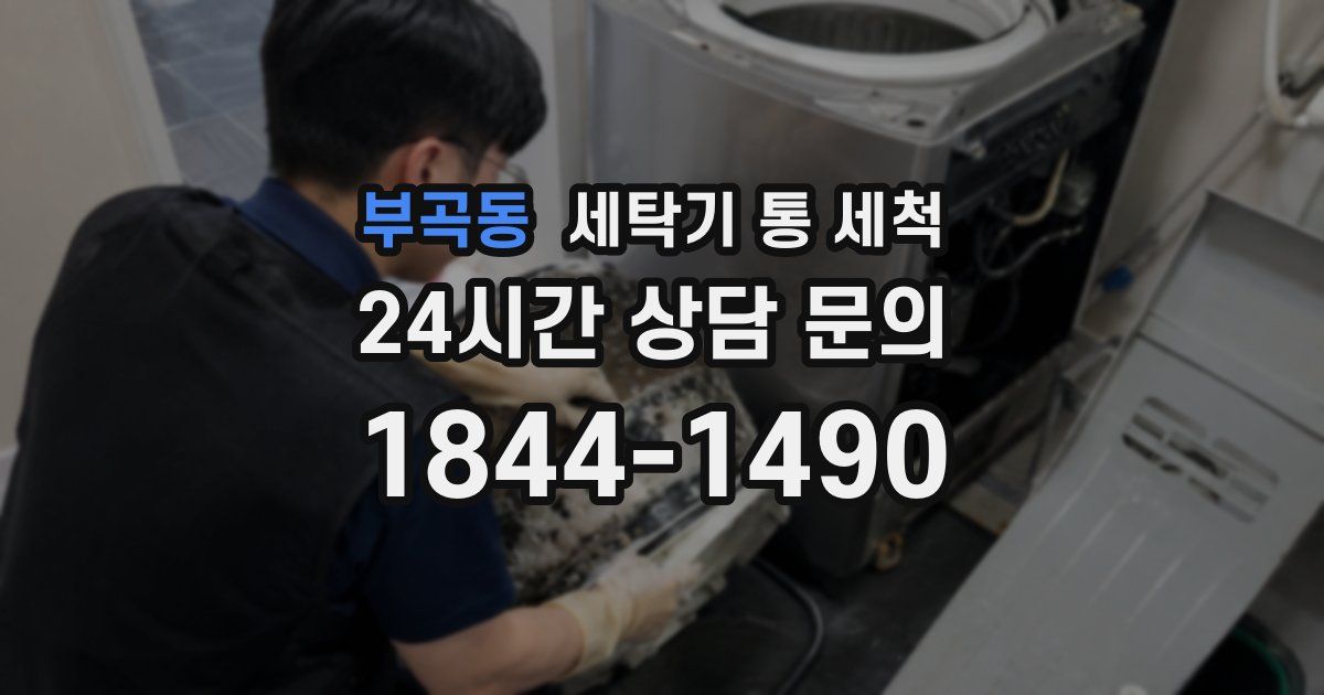 부곡동 세탁기 통 세척