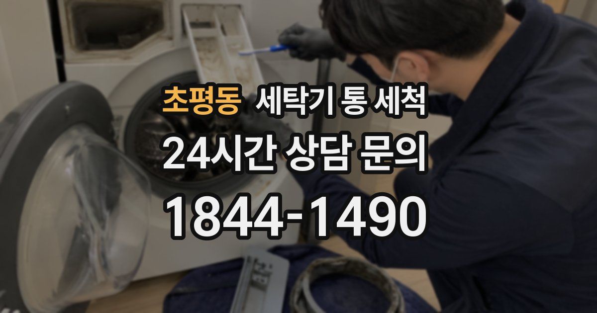 초평동 세탁기 통 세척