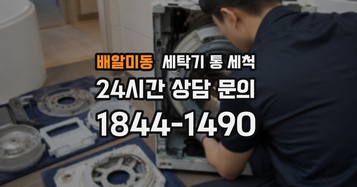 배알미동 세탁기 통 세척
