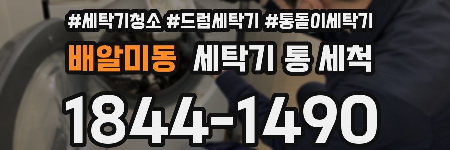 배알미동 세탁기 통 세척