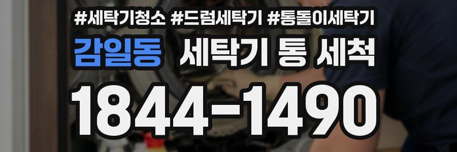 감일동 세탁기 통 세척