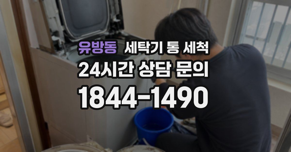 유방동 세탁기 통 세척