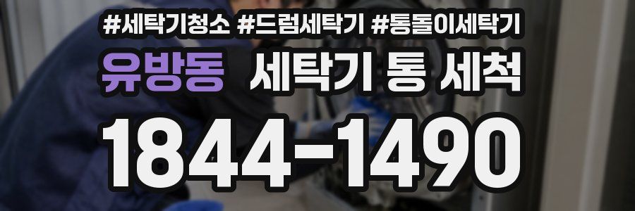 유방동 세탁기 통 세척