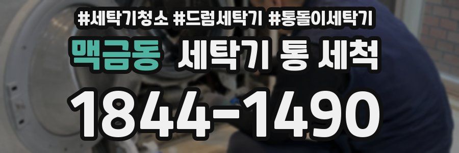 맥금동 세탁기 통 세척