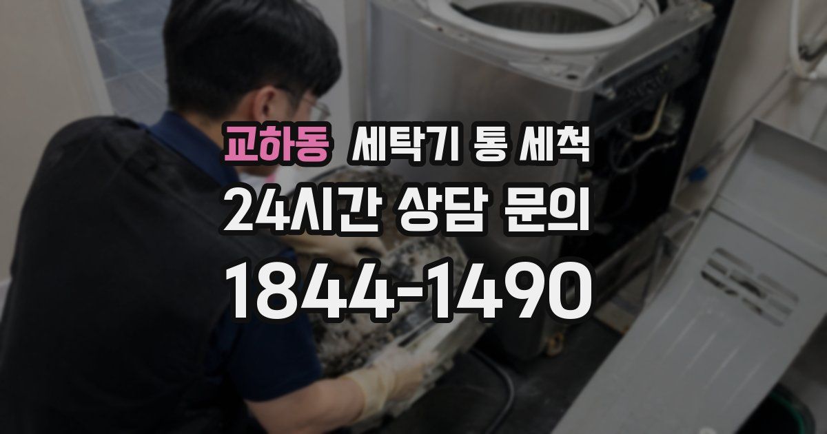 교하동 세탁기 통 세척