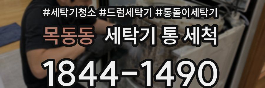 목동동 세탁기 통 세척