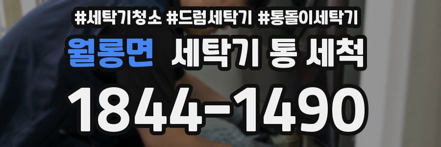 월롱면 세탁기 통 세척