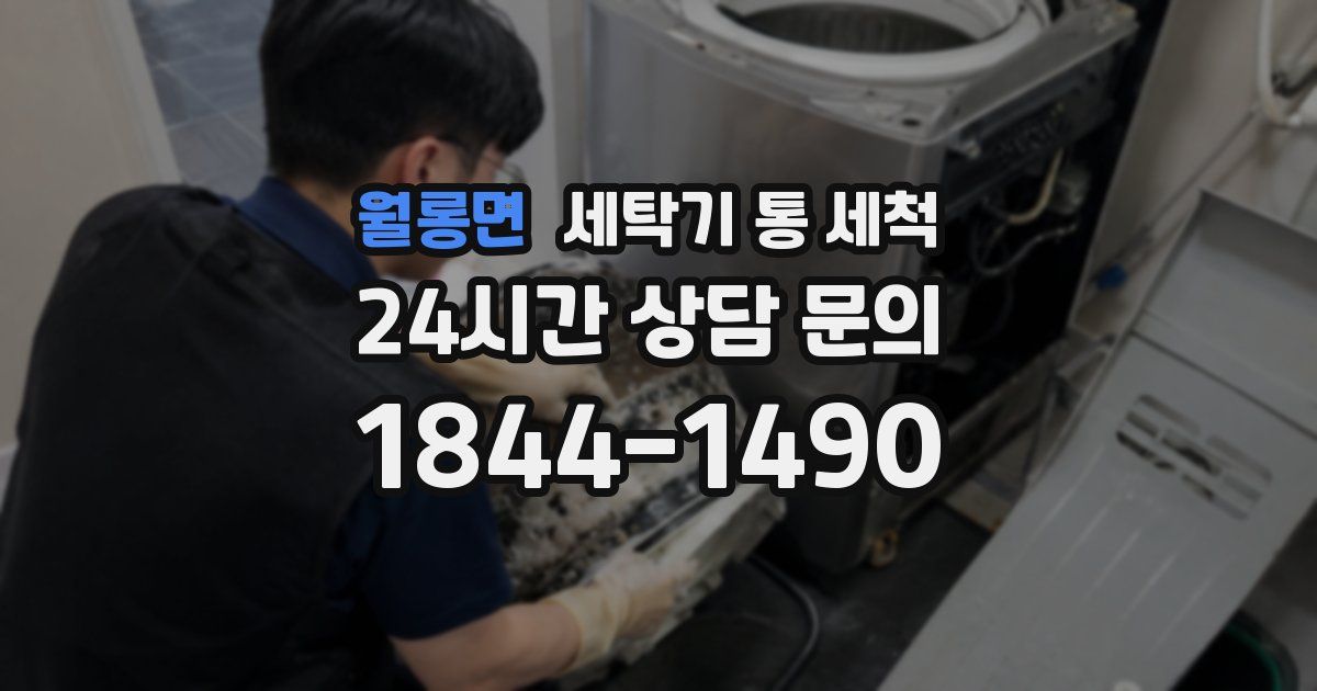 월롱면 세탁기 통 세척