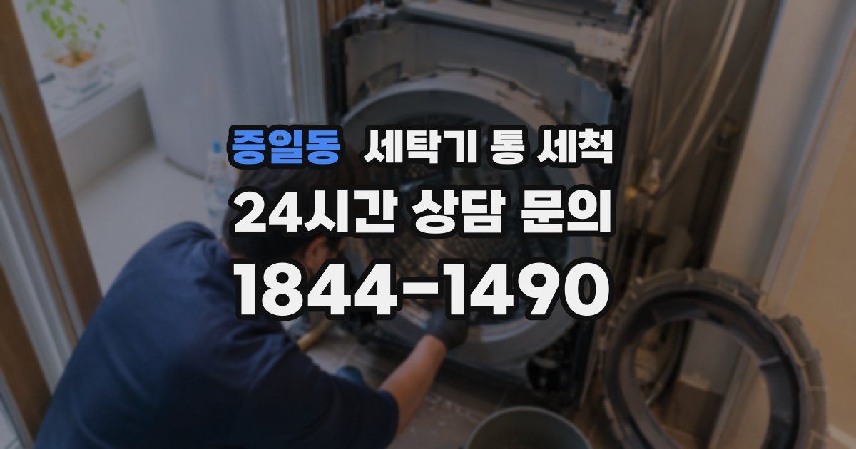 증일동 세탁기 통 세척