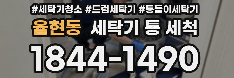율현동 세탁기 통 세척