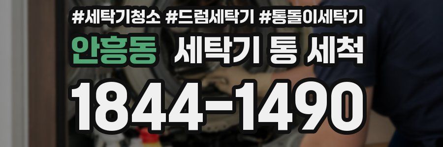 안흥동 세탁기 통 세척