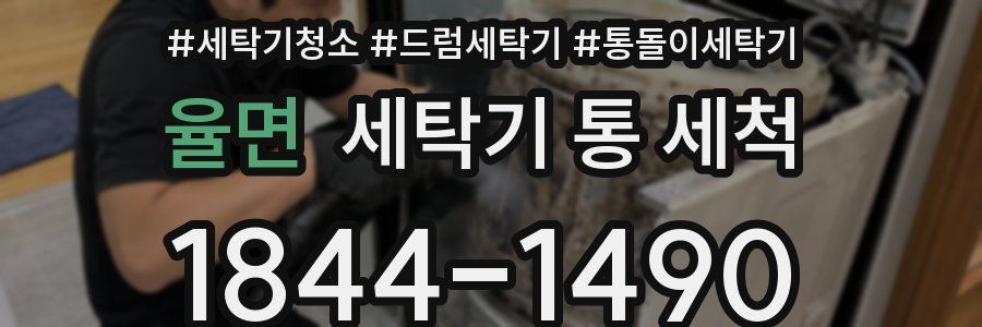 율면 세탁기 통 세척