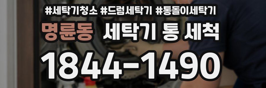 명륜동 세탁기 통 세척