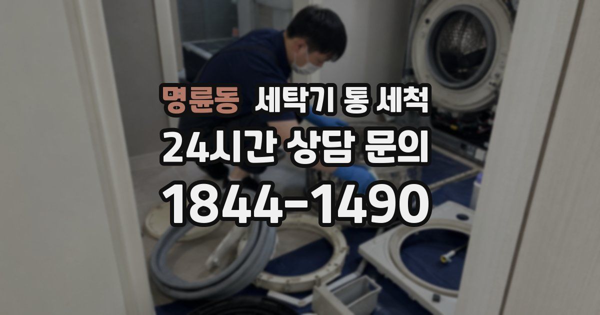 명륜동 세탁기 통 세척