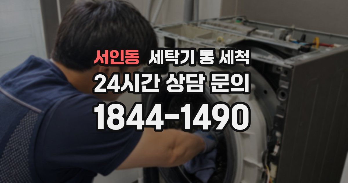 서인동 세탁기 통 세척