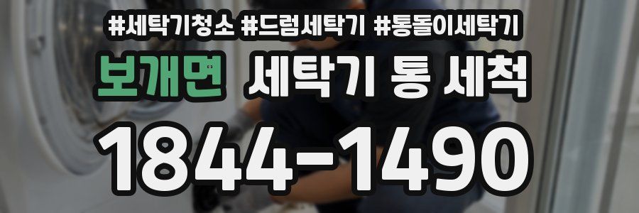 보개면 세탁기 통 세척