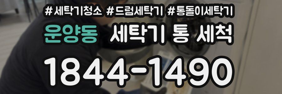 운양동 세탁기 통 세척