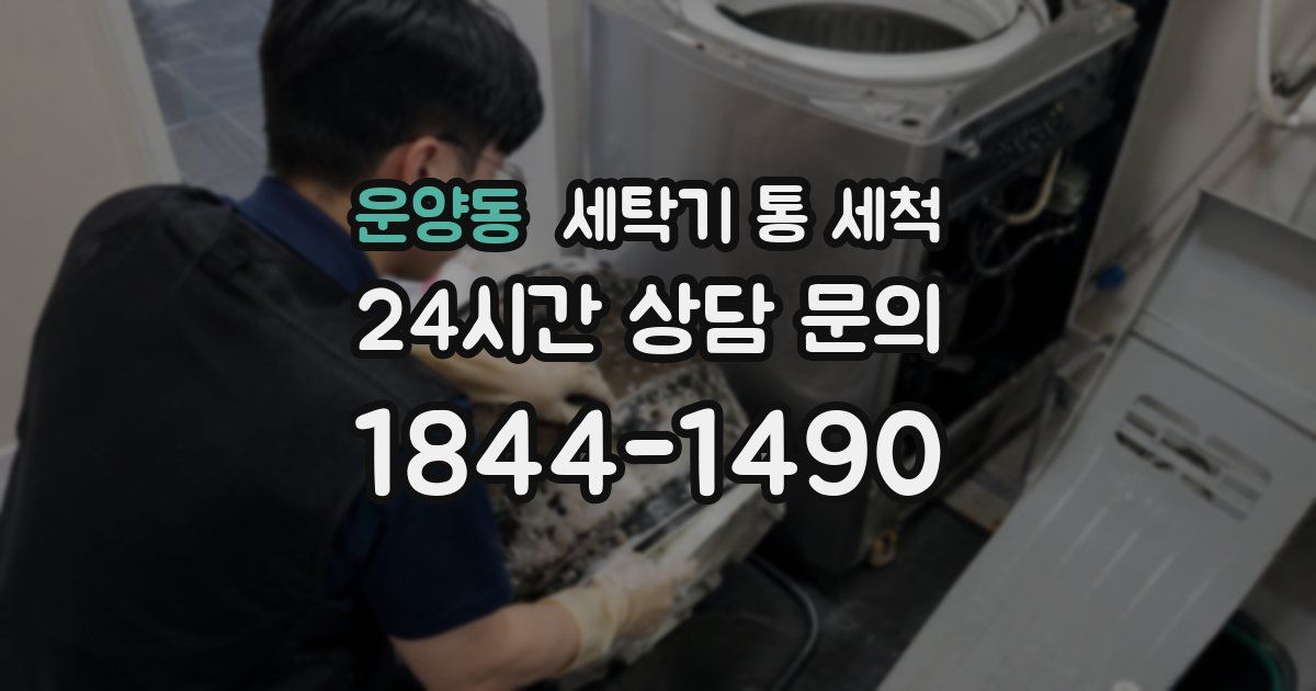 운양동 세탁기 통 세척