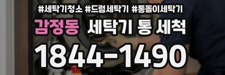 감정동 세탁기 통 세척