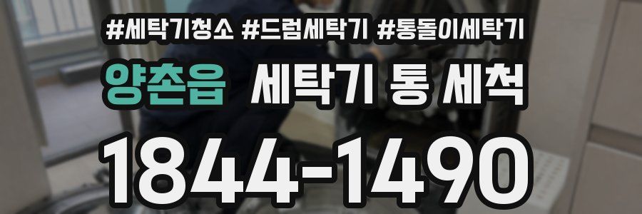 양촌읍 세탁기 통 세척