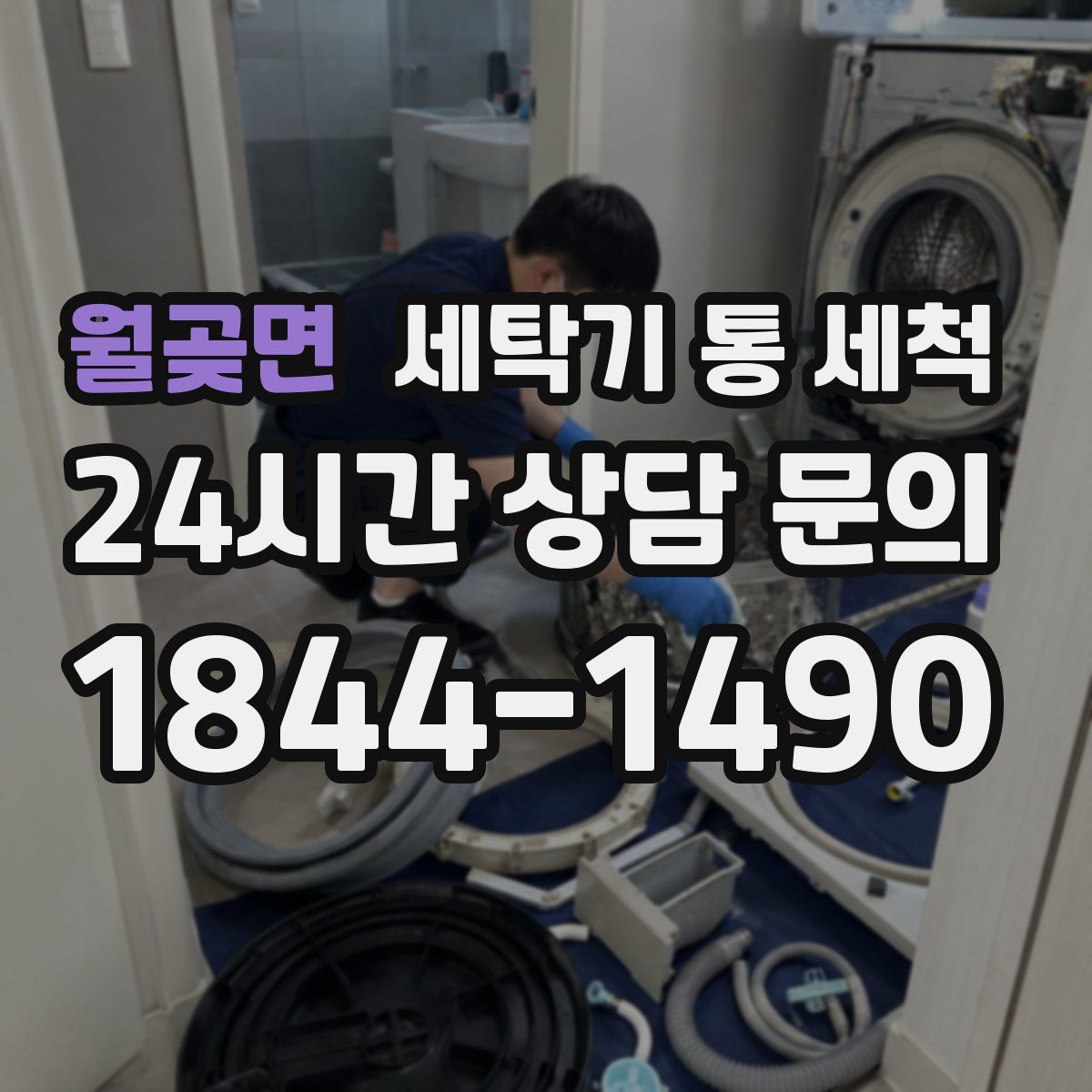 월곶면 세탁기 통 세척