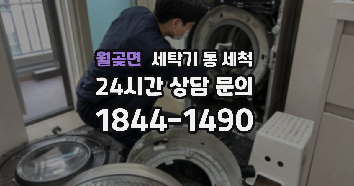 월곶면 세탁기 통 세척