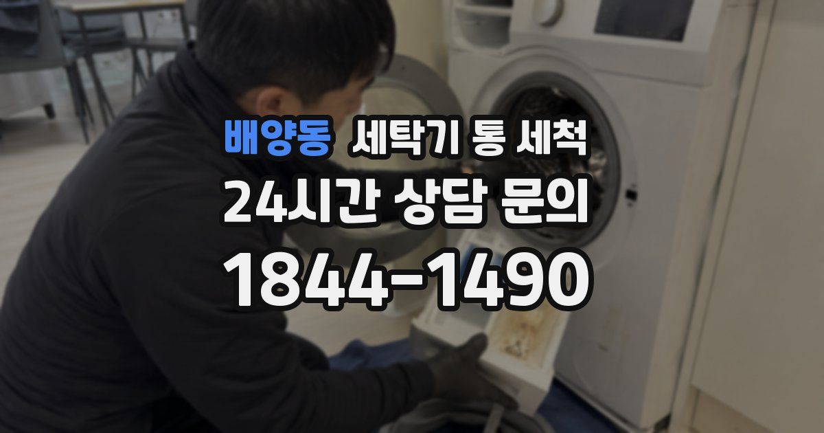 배양동 세탁기 통 세척