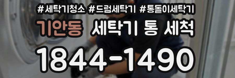 기안동 세탁기 통 세척