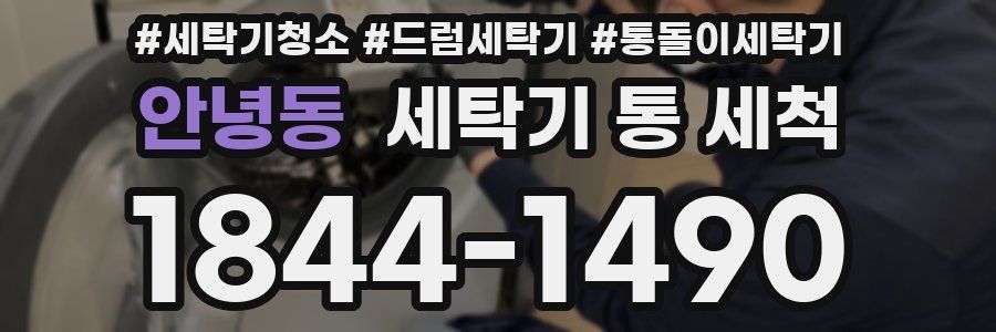 안녕동 세탁기 통 세척