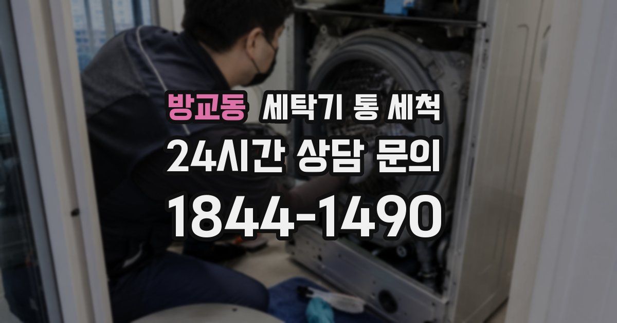 방교동 세탁기 통 세척