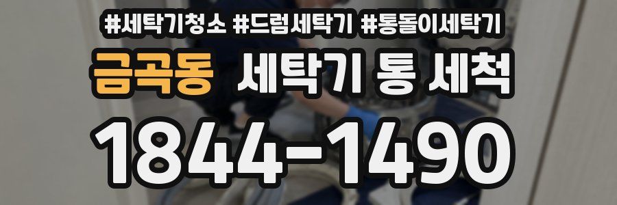 금곡동 세탁기 통 세척