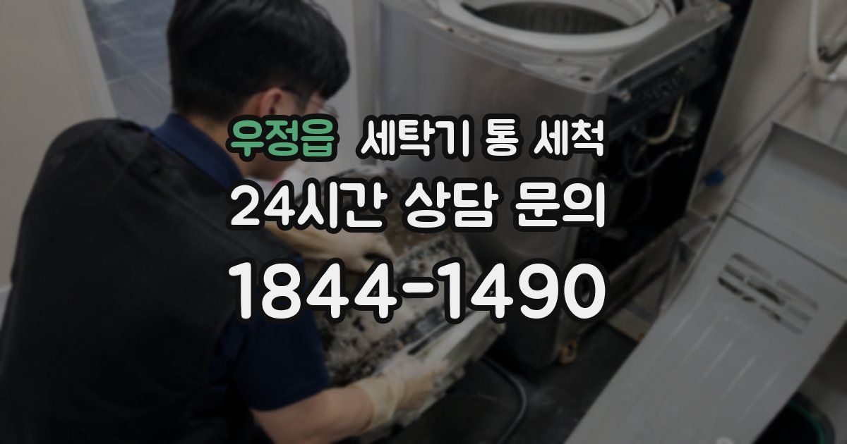 우정읍 세탁기 통 세척