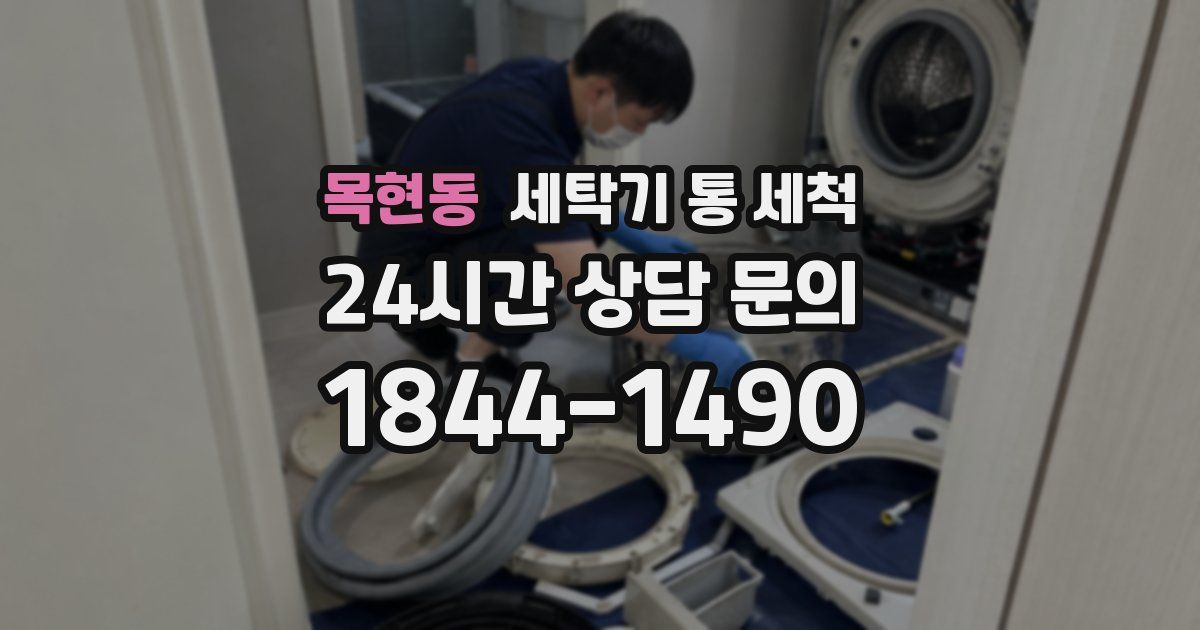 목현동 세탁기 통 세척