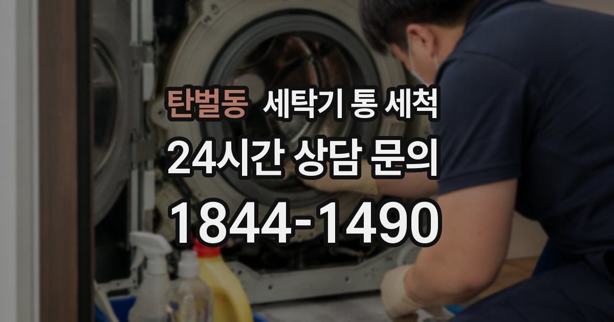 탄벌동 세탁기 통 세척