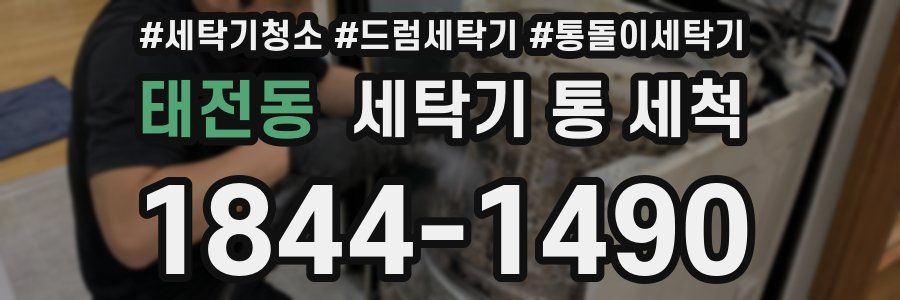 태전동 세탁기 통 세척
