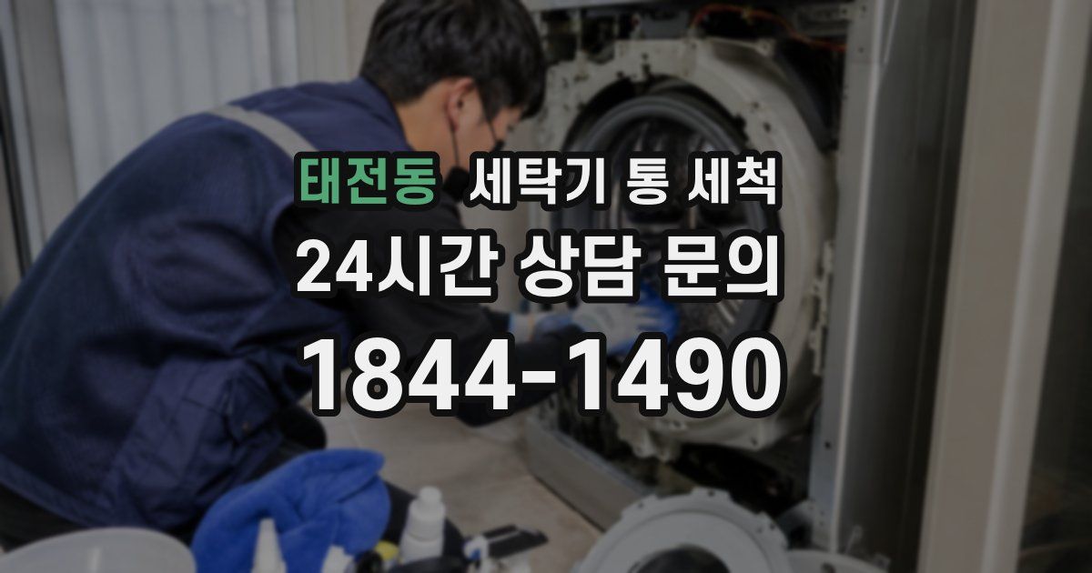 태전동 세탁기 통 세척