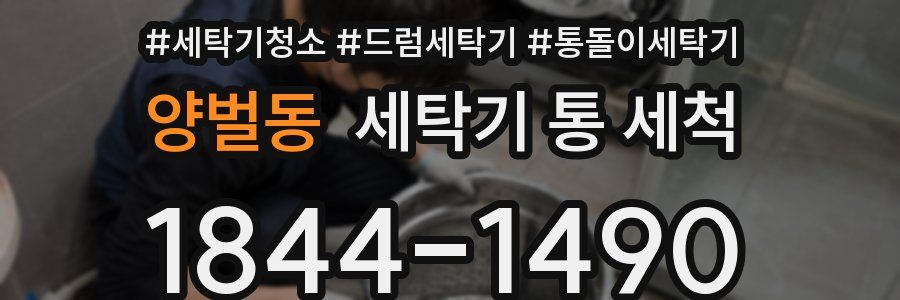 양벌동 세탁기 통 세척