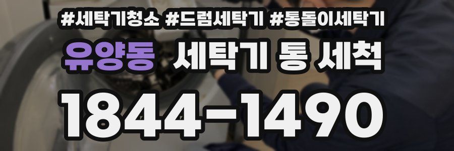 유양동 세탁기 통 세척