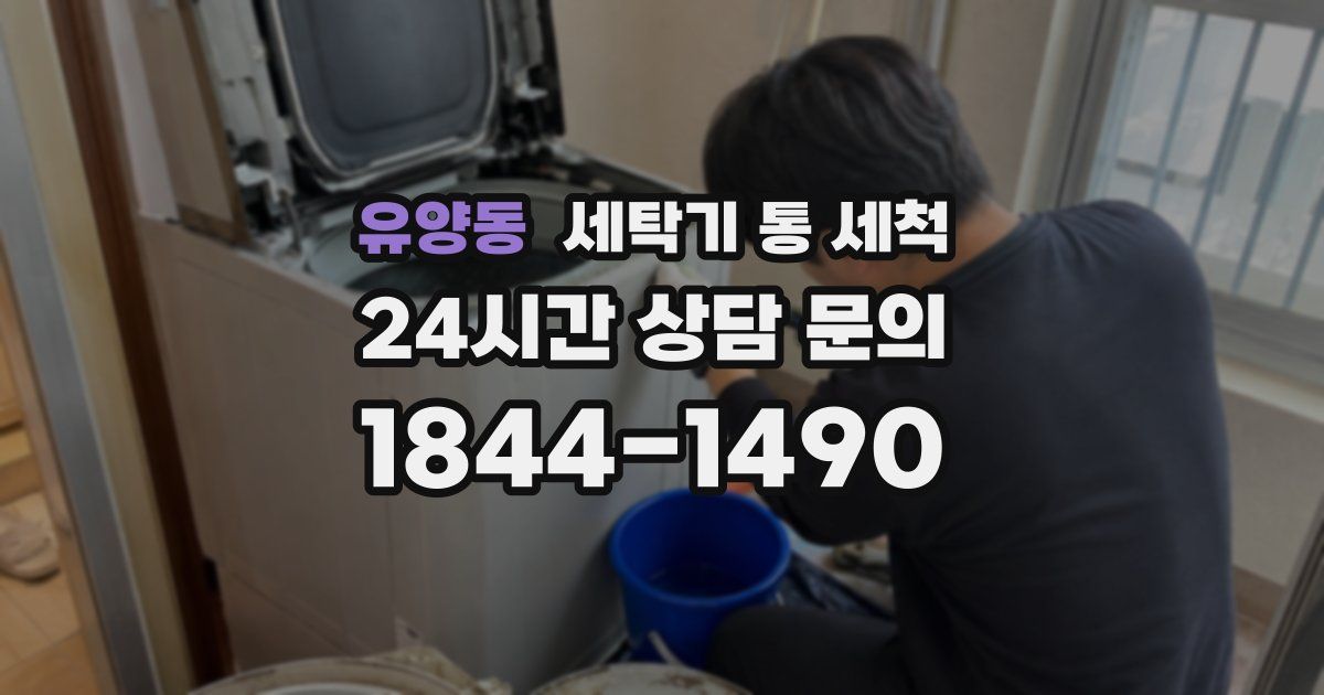 유양동 세탁기 통 세척