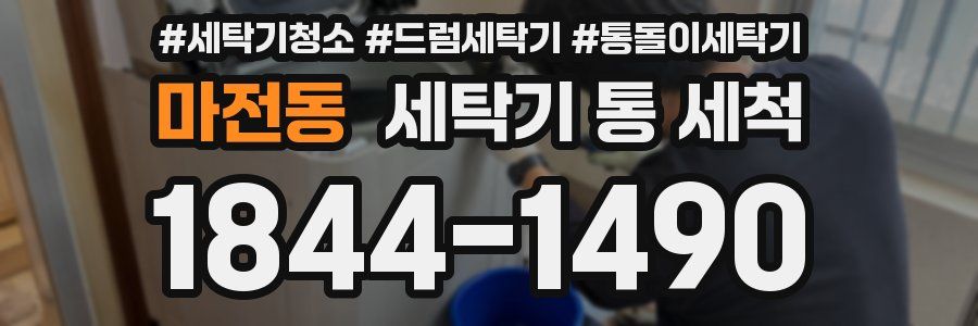 마전동 세탁기 통 세척